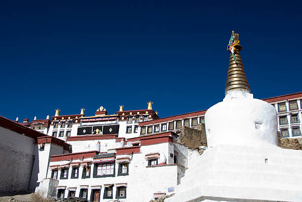 Scenic Stupa View with Himalayan Charm